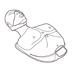 Actar D-fib